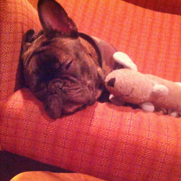 Meet your Posher, Hannah - Picture 1 of 1